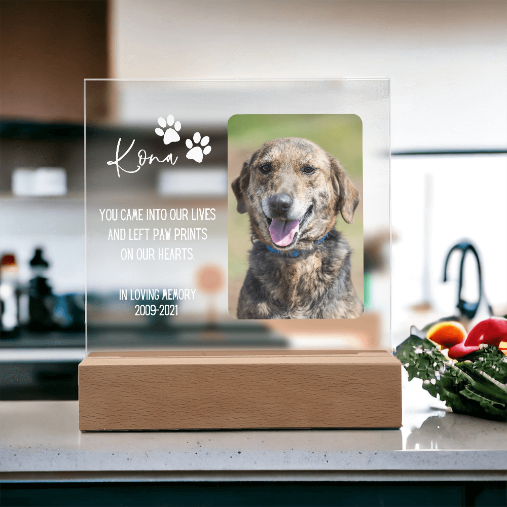 Pet Memorial Gift | Dog Memorial, Pet Loss Gift, Pet Photo Frame, Forever Missed, We Miss You Pet Gift, Cat Memorial Plaque, Dog Photo Frame