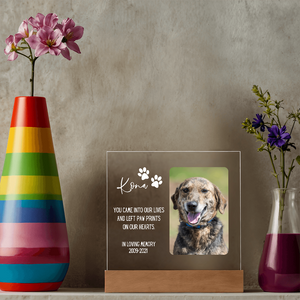 Pet Memorial Gift | Dog Memorial, Pet Loss Gift, Pet Photo Frame, Forever Missed, We Miss You Pet Gift, Cat Memorial Plaque, Dog Photo Frame