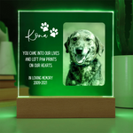 Pet Memorial Gift | Dog Memorial, Pet Loss Gift, Pet Photo Frame, Forever Missed, We Miss You Pet Gift, Cat Memorial Plaque, Dog Photo Frame