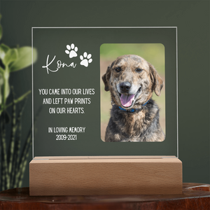 Pet Memorial Gift | Dog Memorial, Pet Loss Gift, Pet Photo Frame, Forever Missed, We Miss You Pet Gift, Cat Memorial Plaque, Dog Photo Frame
