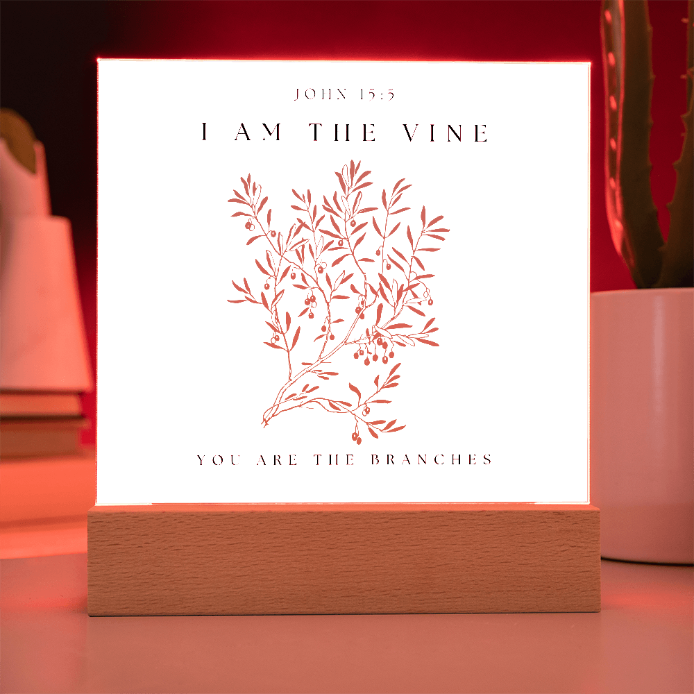 I Am The Vine You Are The Branches Acrylic Plaque Desk Decor John 15:5