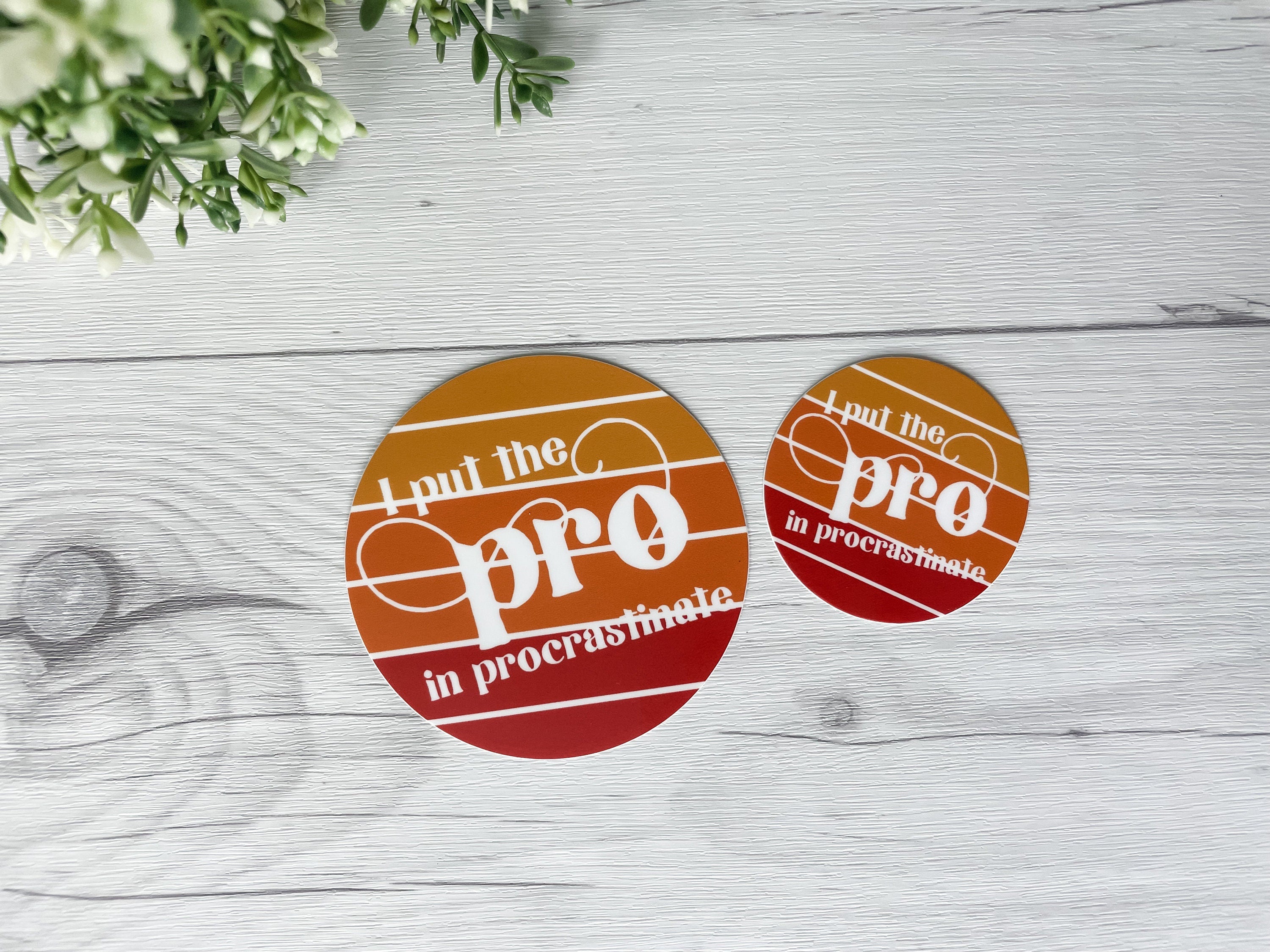 I Put The Pro in Procrastinate Sticker | Vinyl Waterproof Sticker | Back to School Gift