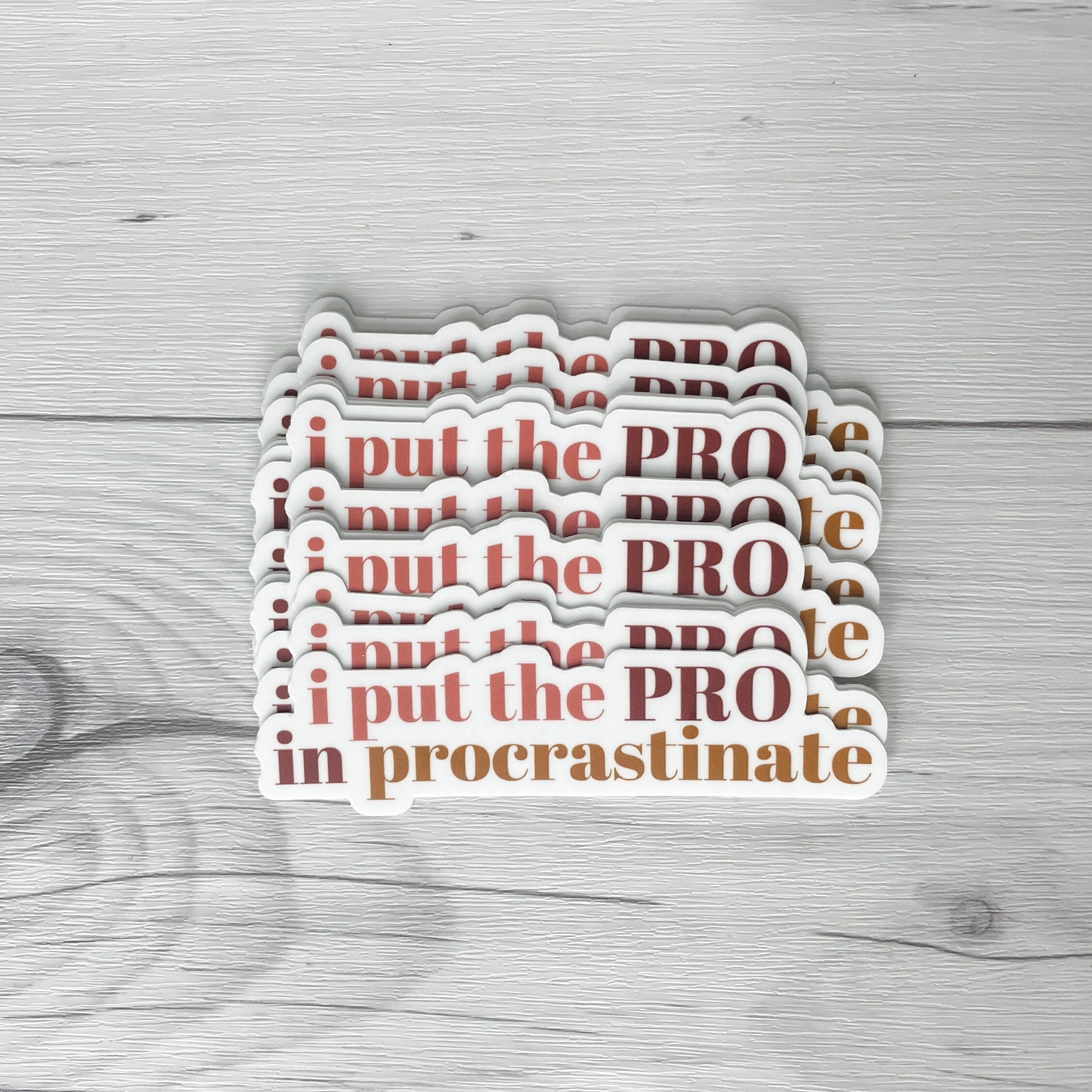 I Put The Pro in Procrastinate Sticker | Vinyl Waterproof Sticker | Back to School Gift